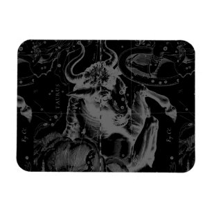 Magnet Flexible Taurus Constellation Hevelius 1690 Décor