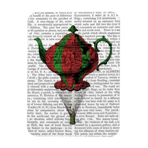 Magnet Flexible Teapot volant 2 rouge et vert