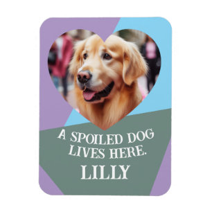 Magnet Flexible Télécharger Personnalisé Coeur Animaux de compagni