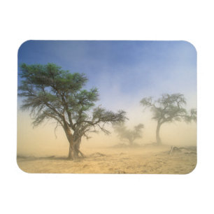 Magnet Flexible Tempête de sable dans le désert du Kalahari, Kgala
