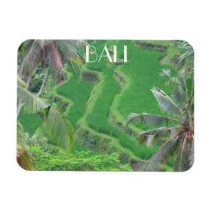 Magnet Flexible terrasses de riz bali
