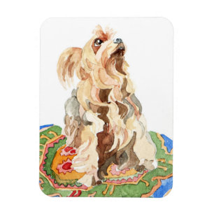 Magnet Flexible Terrier de Yorkshire 2012
