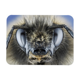 Magnet Flexible Tête de bourdon