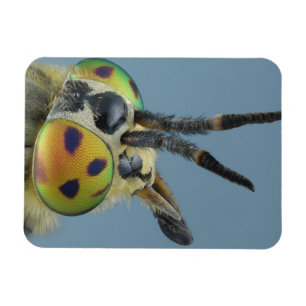Magnet Flexible Tête de mouche de cerf