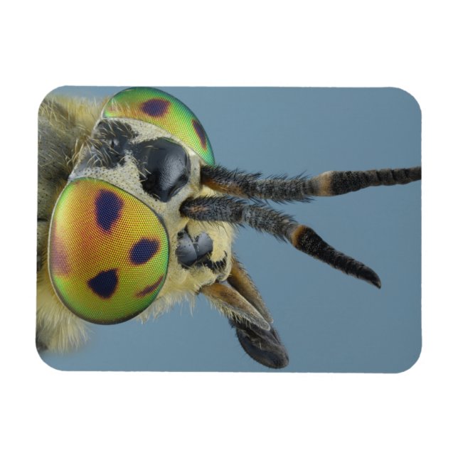 Magnet Flexible Tête de mouche de cerf (Horizontal)