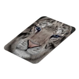 Magnet Flexible Tête de Tigre Blanc Esthétique Faunique