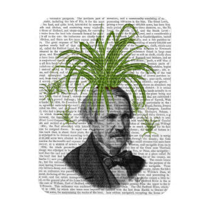 Magnet Flexible Tête d'usine d'araignée