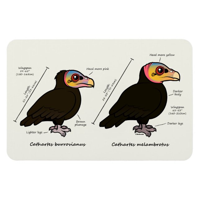 Magnet Flexible Tête jaune Grand v Petit (Horizontal)