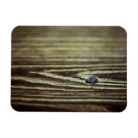 Texture du grain de bois par Shirley Taylor