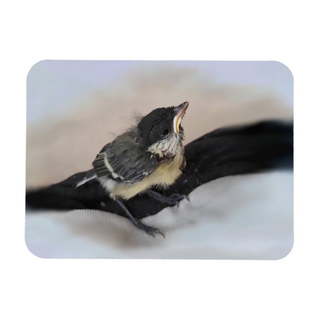 Magnet Flexible Tidi my Bird le Parus Major (Horizontal)