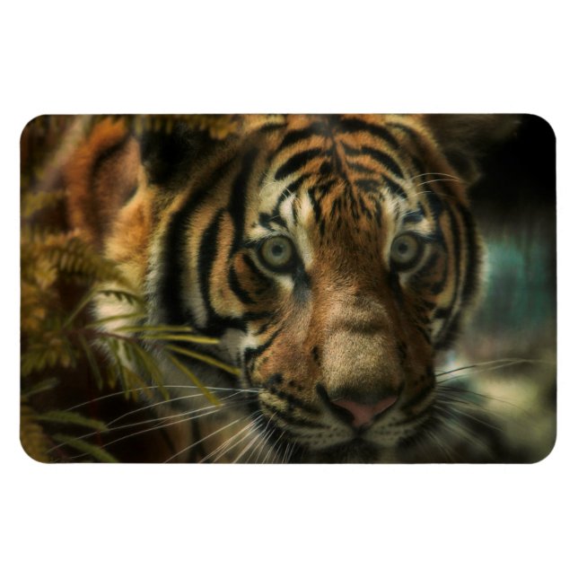 MAGNET FLEXIBLE TIGER GROUPE ZÉRO (Horizontal)