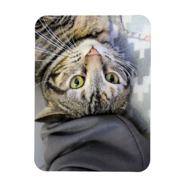 Magnet Flexible Tigre (Vertical)