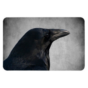Magnet Flexible Tir de charme de Raven
