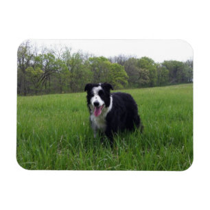 Magnet Flexible Toby