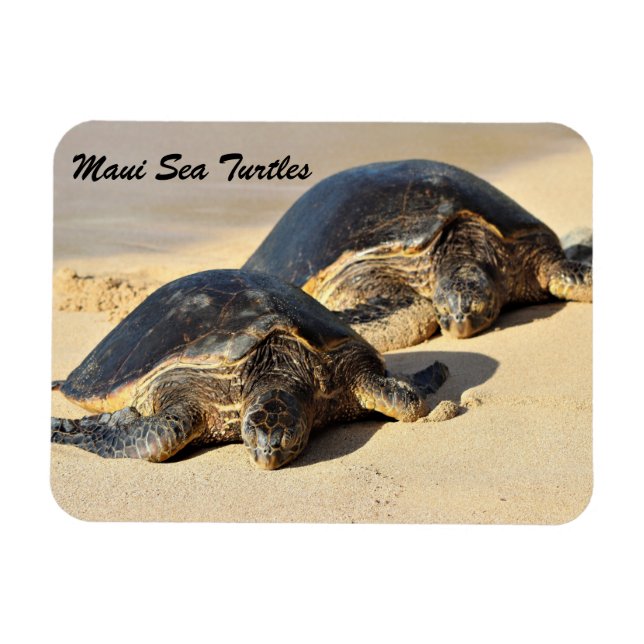 Magnet Flexible Tortues de mer de Maui (Horizontal)