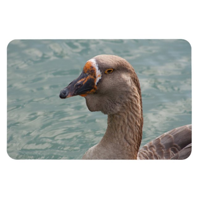 Magnet Flexible Toulouse Goose (Horizontal)