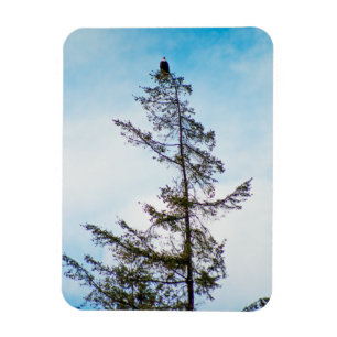 Magnet Flexible Tour de surveillance