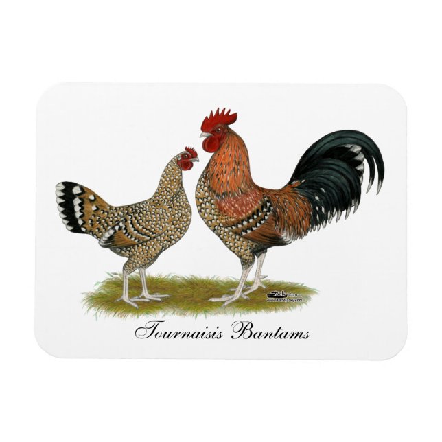 Magnet Flexible Tournaisis Bantams (Horizontal)