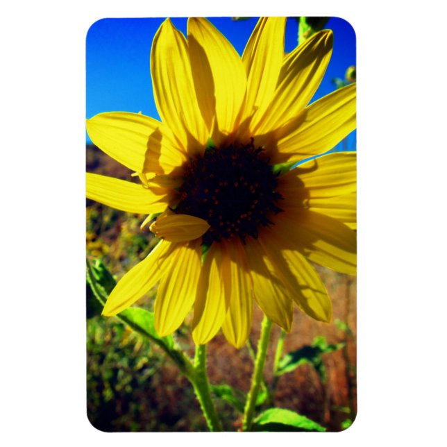 Magnet Flexible Tournesol (Vertical)