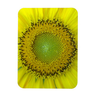 Magnet Flexible Tournesol jaune