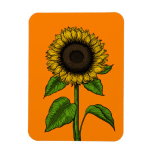 Magnet Flexible Tournesol orange