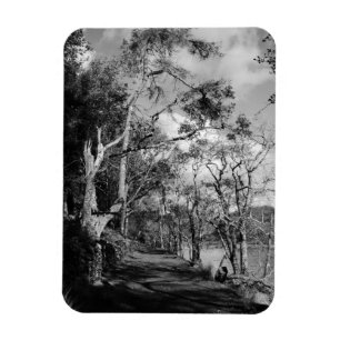 MAGNET FLEXIBLE TREES