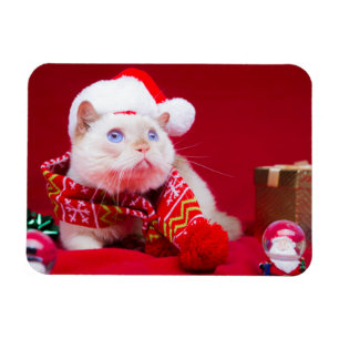 Magnet Flexible Trident l'aimant de Noël de chat