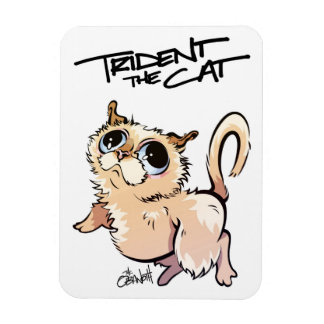 Magnet Flexible Trident l'aimant illustré de chat 01
