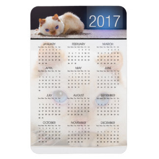 Magnet Flexible Trident le calendrier magnétique du chat 01