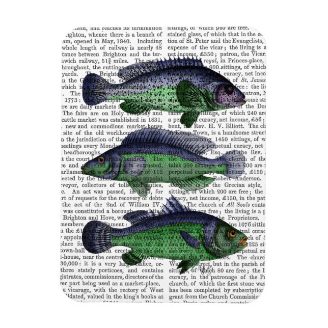 Magnet Flexible Trio poisson bleu et vert (Vertical)