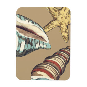 Magnet Flexible Trio Shell sur Khaki