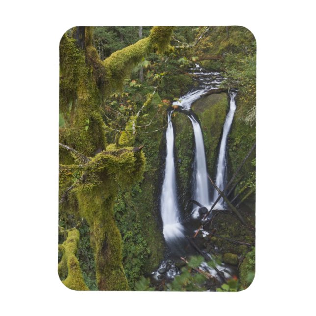 Magnet Flexible Triple Falls, gorge de Columbia (Vertical)