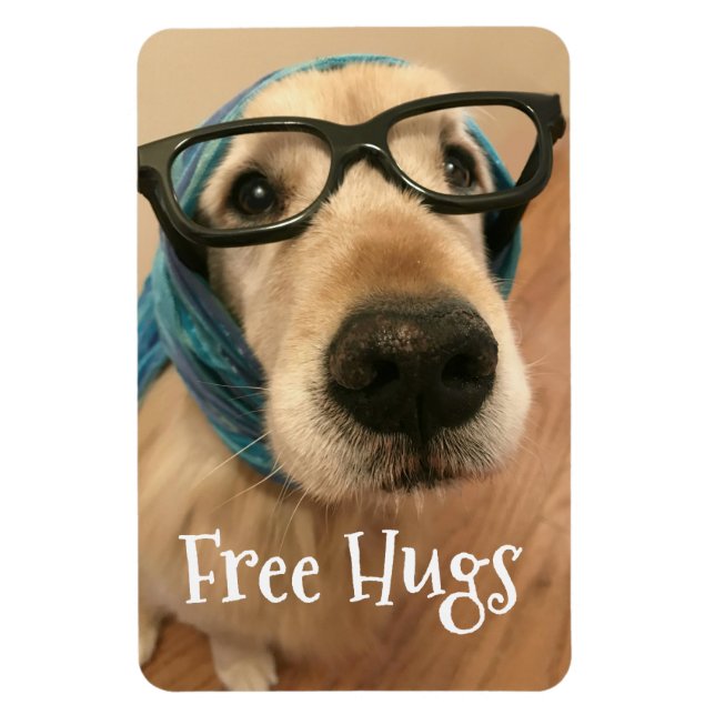 Magnet Flexible Triste Golden Retriever Chien avec lunettes Serres (Vertical)