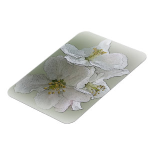 Magnet Flexible trois fleurs blanches