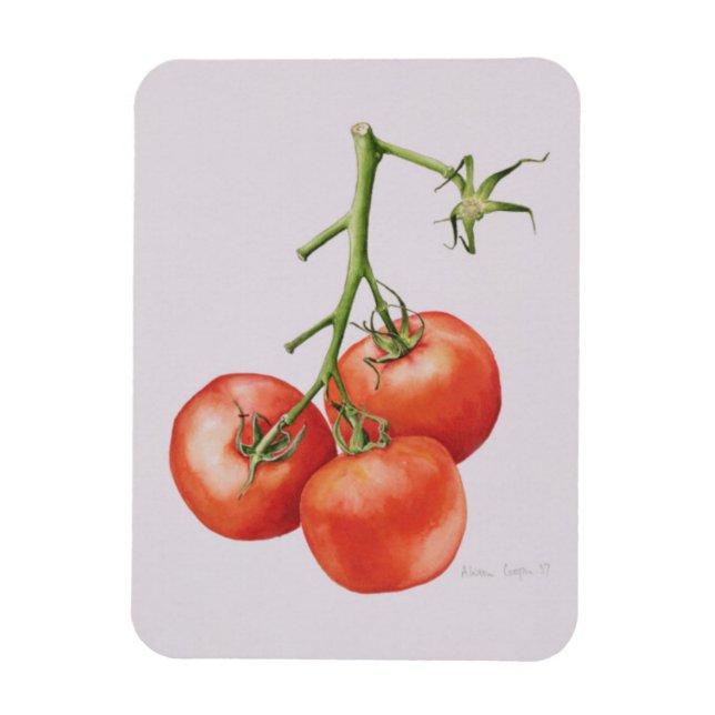 Magnet Flexible Trois tomates sur la vigne 1997 (Vertical)