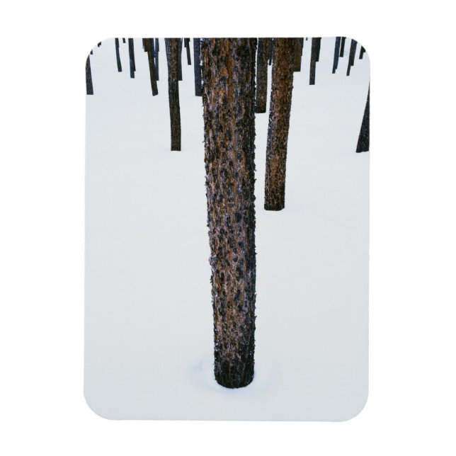 Magnet Flexible Troncs d'arbre dans la neige (Vertical)