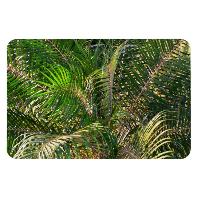 Magnet Flexible Tropique des contours de palmiers clairs du couche (Horizontal)