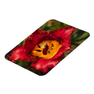 Magnet Flexible Tuliforme rouge