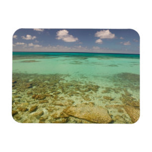 Magnet Flexible Turks et Caïcos, Grand Turk Island, Cockburn 2