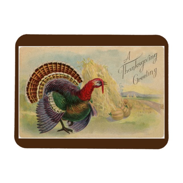 Magnet Flexible Turquie vintage (Horizontal)