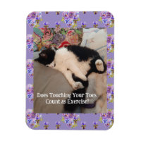 Tuxedo Chat Cute Joyeux Anniversaire Touch Toes Ca