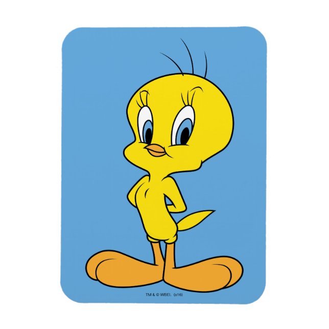 Magnet Flexible TWEETY™ | Oiseau intelligent (Vertical)