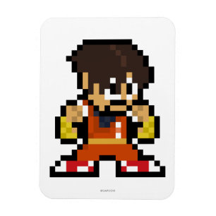 Magnet Flexible type à 8 bits