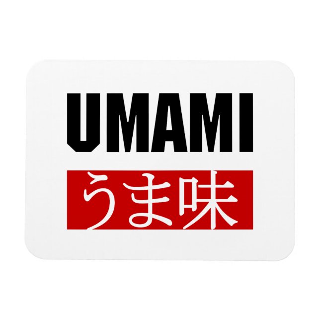 MAGNET FLEXIBLE UMAMI う ま 味 (Horizontal)