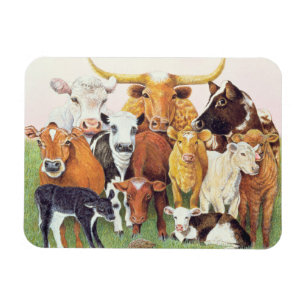 Magnet Flexible Un étranger étonnant