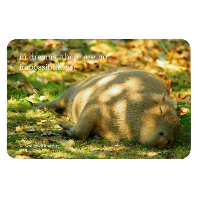 Magnet Flexible Un joli rêve de capybara au soleil d'été (Horizontal)
