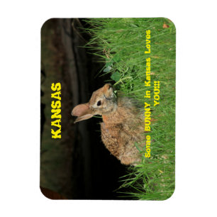 Magnet Flexible Un lapin dans le Kansas t'aime l'aimant.