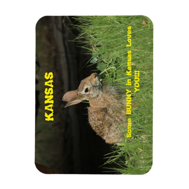Magnet Flexible Un lapin dans le Kansas t'aime l'aimant. (Vertical)