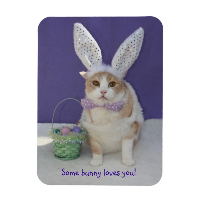 Magnet Flexible Un Lapin T'Aime Chat Kitty Pâques (Vertical)