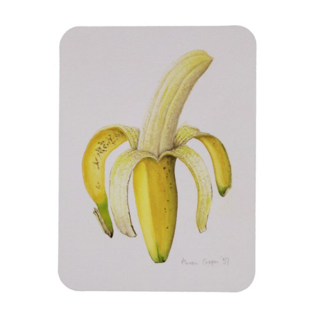 Magnet Flexible Une banane à moitié pelée 1997 (Vertical)